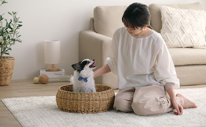 ペットハウス 猫 犬 ペット ベッド PHR-R4414 アイリスオーヤマ おしゃれ ラタン調 ラウンド 室内 オールシーズン ナチュラル クッション付き 