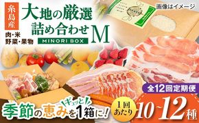 【全12回定期便】糸島産 肉 米 野菜 果物 厳選詰め合わせ MINORI BOX Mサイズ 糸島市 / emma.Inc / 米 肉 野菜 果物 詰め合わせ[AOP014]