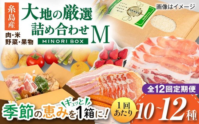 【全12回定期便】糸島産 肉 米 野菜 果物 厳選詰め合わせ MINORI BOX Mサイズ 糸島市 / emma.Inc / 米 肉 野菜 果物 詰め合わせ[AOP014]