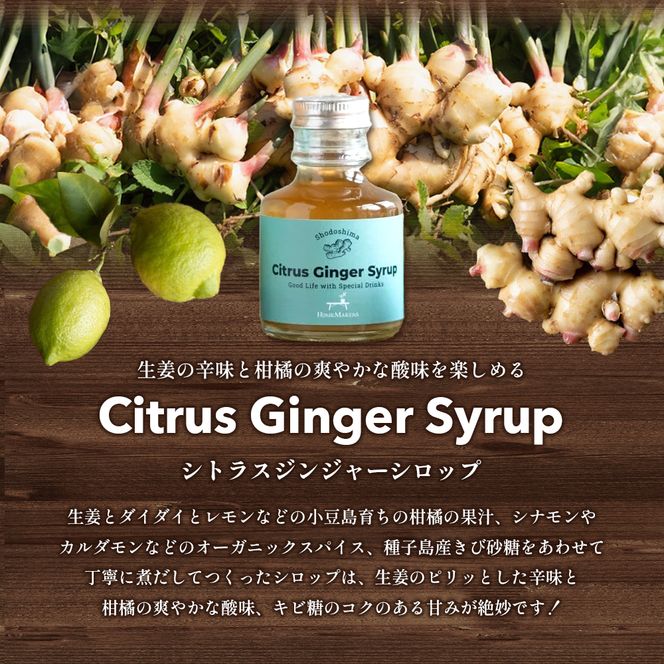 【 小豆島 】小豆島ジンジャー&ダイダイレモンシロップ3本セット ミニ お試し 飲料 飲み物 ドリンク シロップ ギフト 贈り物 香川 香川県 土庄 土庄町
