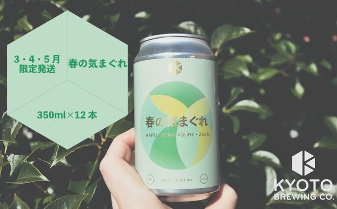 【京都醸造】京都発のクラフトビール！気まぐれ 12本セット ［ 京都 ビール お酒 地ビール クラフトビール 350ml 缶ビール 人気 おすすめ お取り寄せ 通販 送料無料 きょうとじょうぞう ふるさと納税 ］ 261009_B-BR19