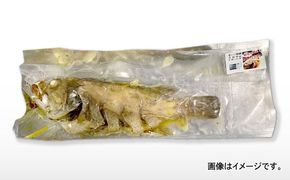 魚のバター焼き 沖縄三大高級魚 天然ミーバイ 1尾 沖縄料理 ミーバイ バター焼き お取り寄せ 冷凍 沖縄市 / 海産物料理 大漁[BCED003]