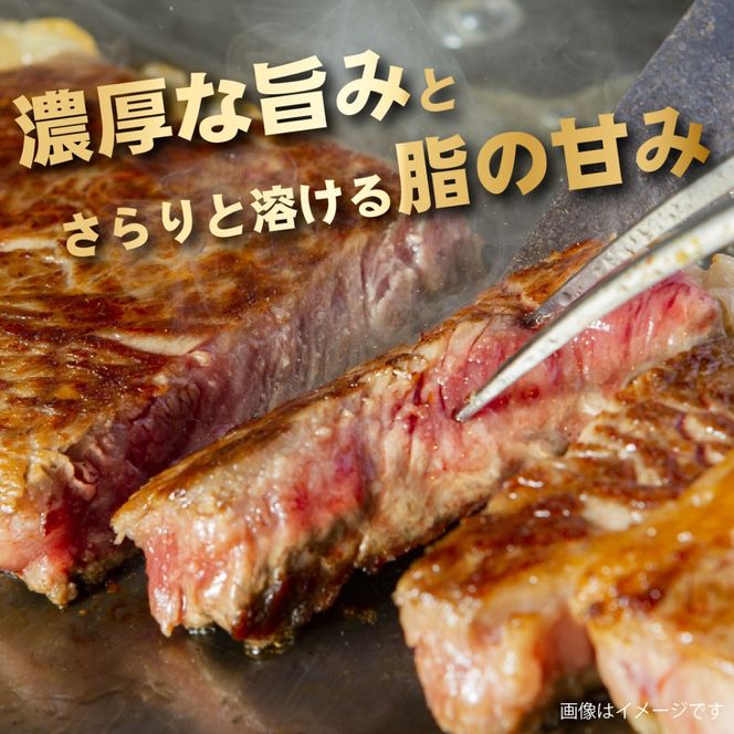 【新鮮チルド発送!!】A5等級宮崎牛特選サーロインステーキ 3枚 600g（黒毛和牛 牛肉 宮崎牛 A5 サーロイン ステーキ 焼肉 宮崎県）