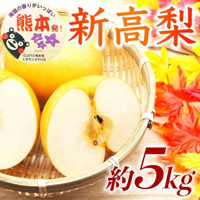 【amazon価格】新高梨 約5kg（6～16玉）【梨 なし 果物 フルーツ デザート 食後 熊本県産】※配送不可：離島