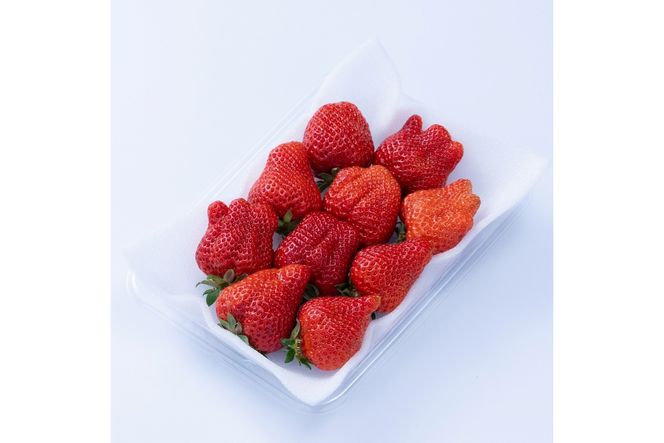 福岡産【冬】あまおう4パック【南国フルーツ株式会社】_HA1910