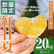 ＜先行予約受付中！2026年3月中旬以降順次発送予定＞数量限定！鹿児島県産 紅甘夏 (20kg・2L) 柑橘 フルーツ 果物 国産 みかん 期間限定 数量限定 ベニアマナツ ミカン 旬 【株式会社イロドリ】akn069-11