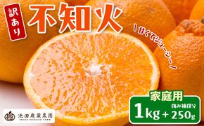 ［先行予約］家庭用 不知火1kg+250g（傷み補償分）［デコポンと同品種・人気の春みかん］［わけあり・訳あり］ CZ044