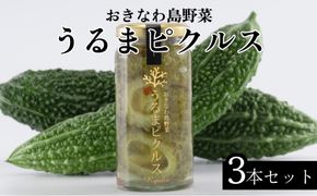 【龍華】うるまピクルス　3本セット