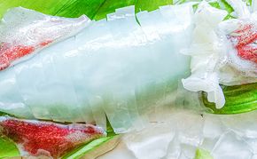 【2026年2月以降順次出荷】朝どれ 白いか 1kg（3～6杯）【 京都産 刺身 OK】[ イカ 剣先イカ 肴 人気返礼品 ] 魚貝類 