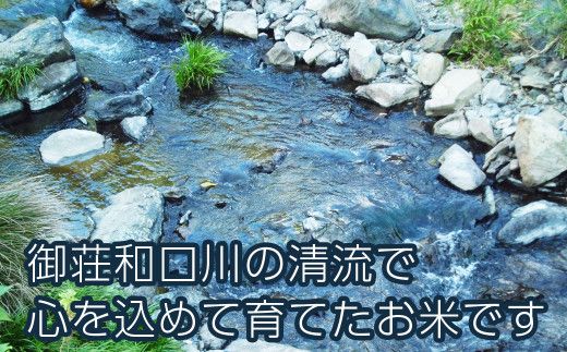 新米 令和8年産 にじのきらめき 10kg 20000円 お米 白米 精米 米 こめ 産地直送 国産 農家直送 期間限定 数量限定 特産品 令和8年度産 2026年産 新品種 大粒 もっちり 粘り 甘み おいしい おにぎり 人気 コシヒカリ に負けない 内祝い お祝い 贈答品 お返し プレゼント 土産 御礼 お礼 お取り寄せ 愛南町 愛媛県