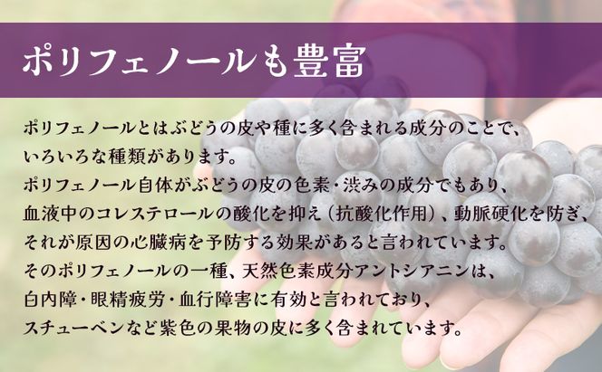芽実農園のぶどうジュース（スチューベン100％）720ml×6本 青森県鶴田町産スチューベン使用 果汁飲料 安心安全 無添加 果汁100％ストレートジュース 糖度20度以上 濃厚 