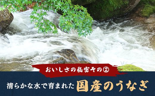 【一度食べたらやみつき！リピート多数 】うなぎ蒲焼２尾セット【D009W】