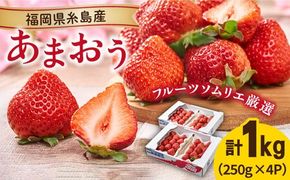 【2024年2月上旬より順次発送】糸島産【春】 あまおう 4パック 《糸島》【南国フルーツ株式会社】 [AIK008]