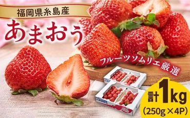 【2024年2月上旬より順次発送】糸島産【春】 あまおう 4パック 《糸島》【南国フルーツ株式会社】 [AIK008]