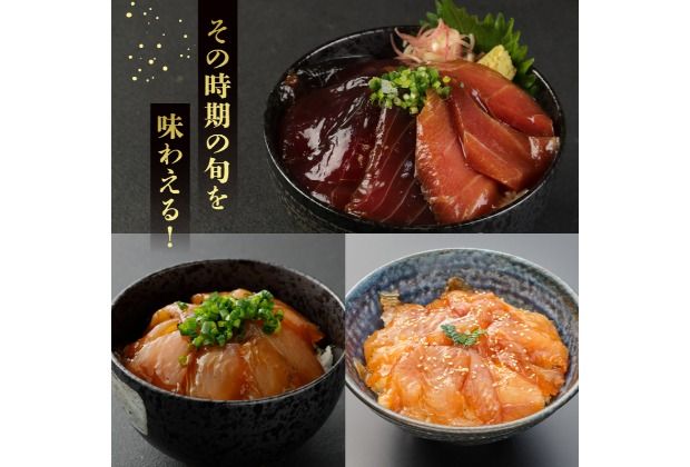 板前特製たれ仕込み！初音の旬の魚の漬け丼２セット【１２回定期便】漬け丼定期便 旬の鮮魚 海鮮 漬け 惣菜 簡単調理 冷凍 惣菜 送料無料