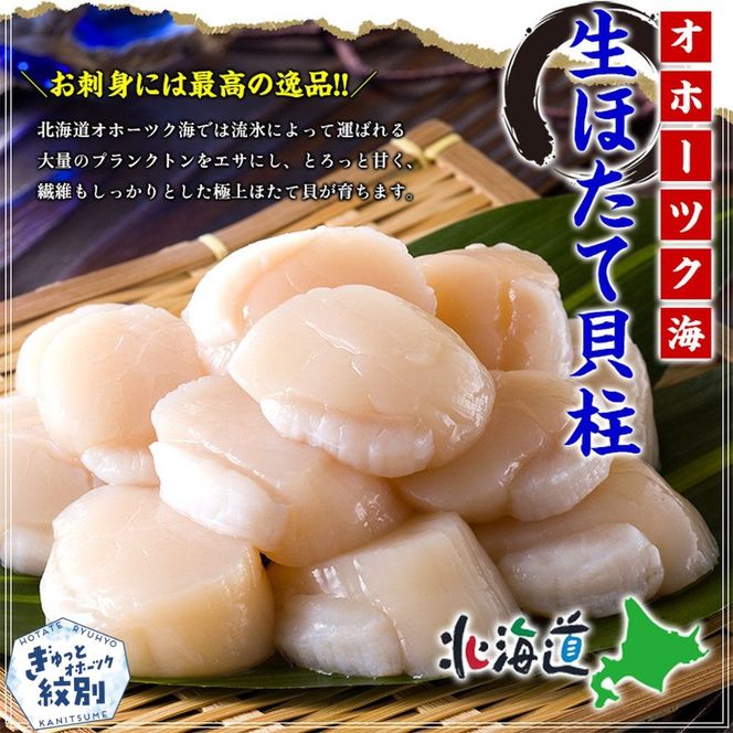 24-121 【甲羅組】【訳あり】ほたて貝柱 １kg【欠け/サイズ不揃い】