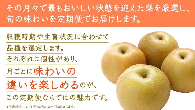 【定期便】3か月連続でお届け！ 旬の梨 おまかせ 約3kg（茨城県共通返礼品 [梨]：大子町産） 高糖度 ギフト 贈り物 プレゼント フルーツ なし ナシ 和梨 梨 果実 旬のフルーツ お取り寄せ くだもの 果物 みずみずしい