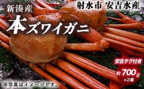 【おすすめ】本ズワイガニ 約700g×2尾（安吉タグ付き）【安吉水産】｜蟹 カニ ※離島への配送不可 ※2025年11月上旬～2026年3月中旬頃に順次発送予定 ※発送まで1か月以上かかる場合があります。