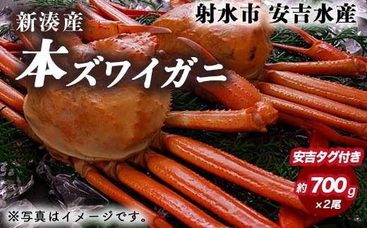 【おすすめ】本ズワイガニ 約700g×2尾（安吉タグ付き）【安吉水産】｜蟹 カニ ※離島への配送不可 ※2025年11月上旬～2026年3月中旬頃に順次発送予定 ※発送まで1か月以上かかる場合があります。