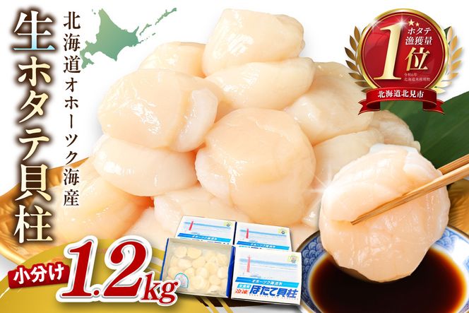 【予約：2026年6月から順次発送】北海道オホーツク海産 ホタテ貝柱 1.2kg 生食用 ( 海鮮 魚介 魚介類 貝 ほたて 刺身 貝柱 海鮮丼 贈答 ギフト 小分け 帆立貝柱 人気 ふるさと納税 ホタテ )【037-0021】