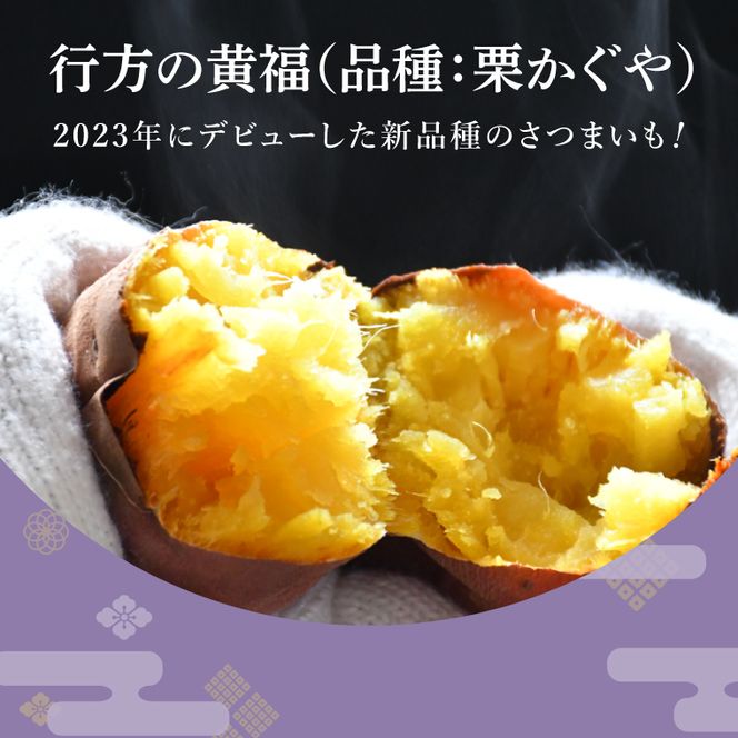 【訳あり】行方かんしょ「行方の黄福（栗かぐや）」さつまいも約5kg（洗い・不揃い・C品）｜茨城県 行方市 ふるさと納税 芋 野菜 栗かぐや(AE-150)