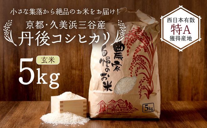 2026年産 京都・久美浜三谷産 丹後コシヒカリ「三谷幸米」 玄米 5kg ふるさと納税 コシヒカリ 新米 令和8年産 ふるさと納税 玄米 先行予約　MM00022