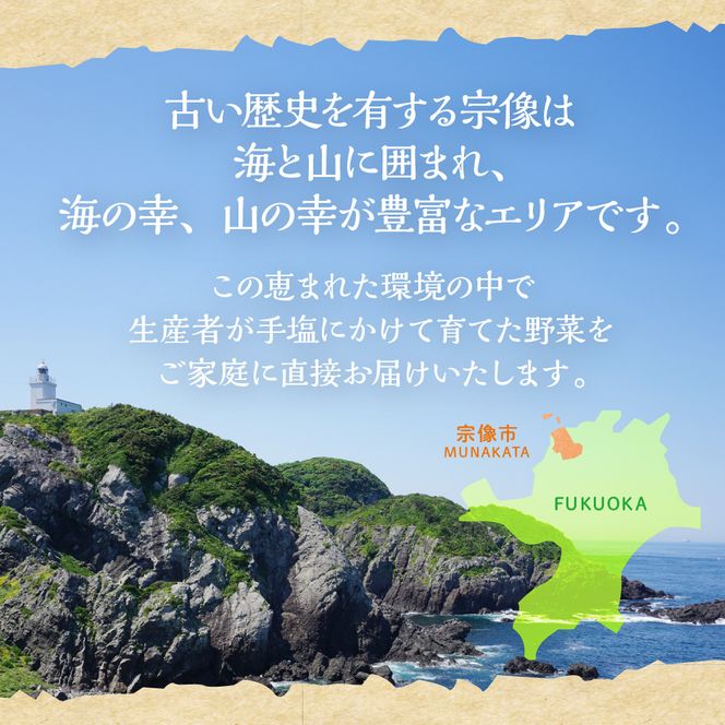 むなかた旬のお任せセット(野菜) 7～9品【JAほたるの里】_HA1569