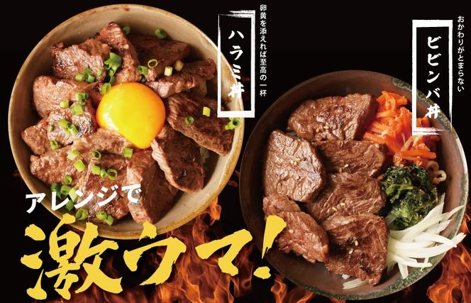 mrz0388 【お試し】牛肉 ハラミ 600g（300g×2P）【氷温熟成×特製ダレ】