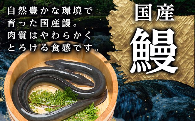 【丑の日】職人手焼きの本格うなぎ蒲焼き4尾≪7月20日～25日お届け≫_AD-33-003-4-UG 