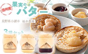 バター【バターセット】りんご リンゴ りんごバター 紅玉 ふじ ブルーベリー フルーツバター 完熟 アップル 果物 ペースト トッピング バタースプレッド トースト ヨーグルト 信州 長野