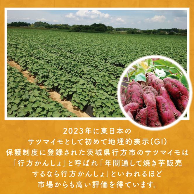 【6ヶ月定期便】★訳あり★紅はるか冷凍焼き芋約3kg＋おまかせ品種さつまいも　合計約3.2kg（EY-30）