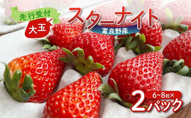2026年先行予約】 富良野産 いちご スターナイト 大玉 6～8粒×2パック