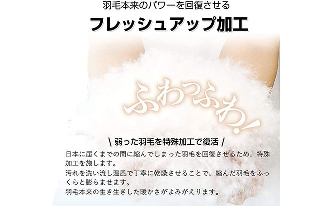 羽毛布団シングル掛け布団日本製ダウン90％1.0kg立体スクエアキルト8か所ループ付き無地クリーム 寝具 軽量 立体キルト ピュアダウン 