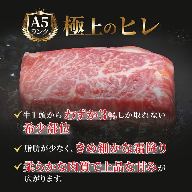 ふるさと納税　飛騨牛 牛肉 ステーキ ヒレ 150g×6枚 計900g A5 和牛 