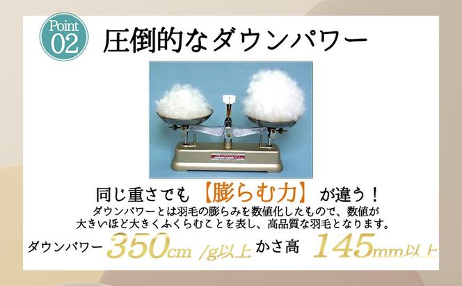 【５色展開】洗える羽毛合い掛け布団シングルダウン90％350dp北欧デザイン羽毛1.2kg洗濯可羽毛布団 寝具 