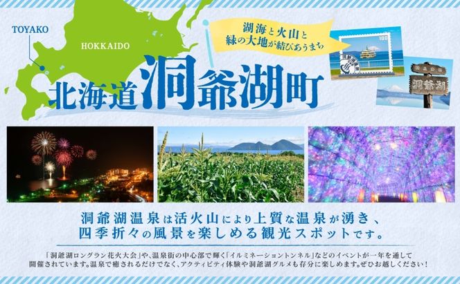 作家おまかせ お楽しみ ワイングラス ペア  (同シリーズのペア)ガラス 加工品 ペアグラス 透明 宙吹き 吹きガラス コップ 硝子 手作り 工房 作品 食器 酒器 工芸品 雑貨 一点もの プレゼント 贈答 自家用 送料無料 北海道 洞爺湖【9月末受付終了】