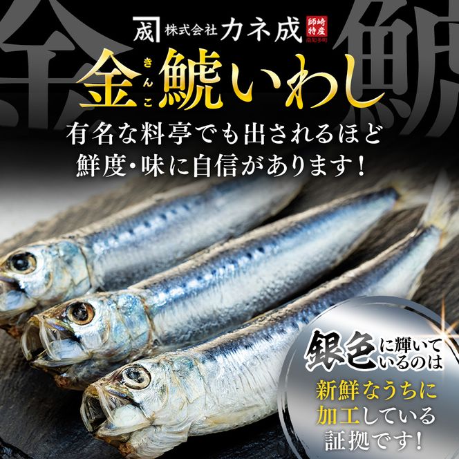 いわし 丸干し 48尾 ( 8尾 × 6 パック ) 干物 冷凍 小分け 愛知県 南知多町 ご飯 ごはん おかず おつまみ 魚 さかな 鰯 金鯱 イワシ 栄養 料理 カネ成 国産 人気 おすすめ