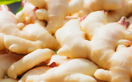 【 山﨑生姜農園 】 生姜農家 が作った 至高の 生姜ジャム 万能 調味料 生姜焼き ヨーグルトやアイスクリームにも合う 生姜 しょうが ショウガ ジンジャー ジャム 濃厚 きび糖 加工品 食品 グルメ 高知県 高知 四万十市 四万十 しまんと 25-326