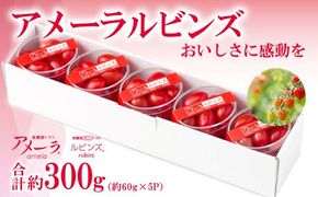 B50アメーラルビンズ　5パック入り