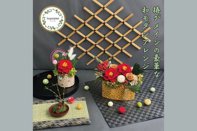 yʌtszAJ235 vU[uht[@։ԁ@ts@VK[pC