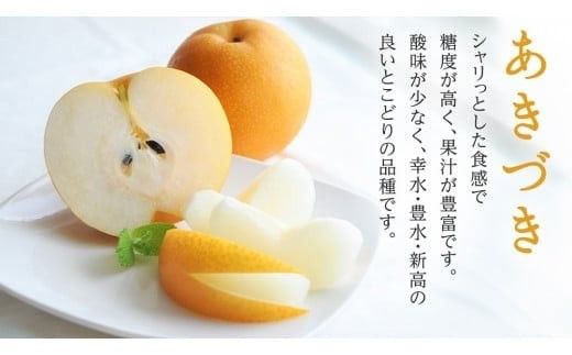 【 JA 北つくば 】 筑西ブランド 認証品 あきづき 10kg 2026年産 先行予約 梨 果物 フルーツ なし ナシ 和梨 秋月 秋月梨 あきづき梨 くだもの デザート 茨城 [AE029ci]