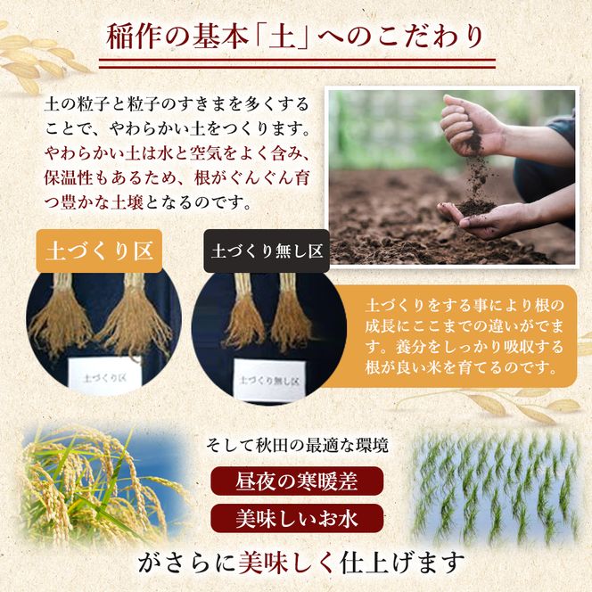 【新米先行予約】米 定期便 全12回 あきたこまち 2kg ×12回 計24kg 令和8年産〈土づくり実証米〉JAしんせい【 精米 白米 米 コメ お米 ご飯 秋田 にかほ 】