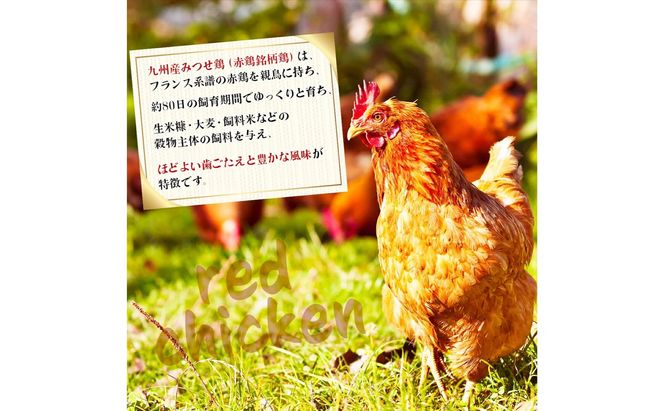 みつせ鶏ささみ(バラ凍結)200g×8パック B-969