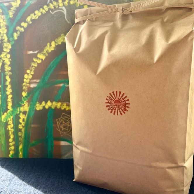 お米 サリークイーン 精米《 お米 精米 5キロ 安心 安全 バスマティ 日本晴 米 おこめ 国産 送料無料 ピラフ パエリア 》【2401B08406】