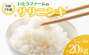いとうファームの 令和7年産 「ササニシキ」 20kg （5kg×4袋） / 米 お米 精米 白米 ご飯 産地直送 【itofarm023】