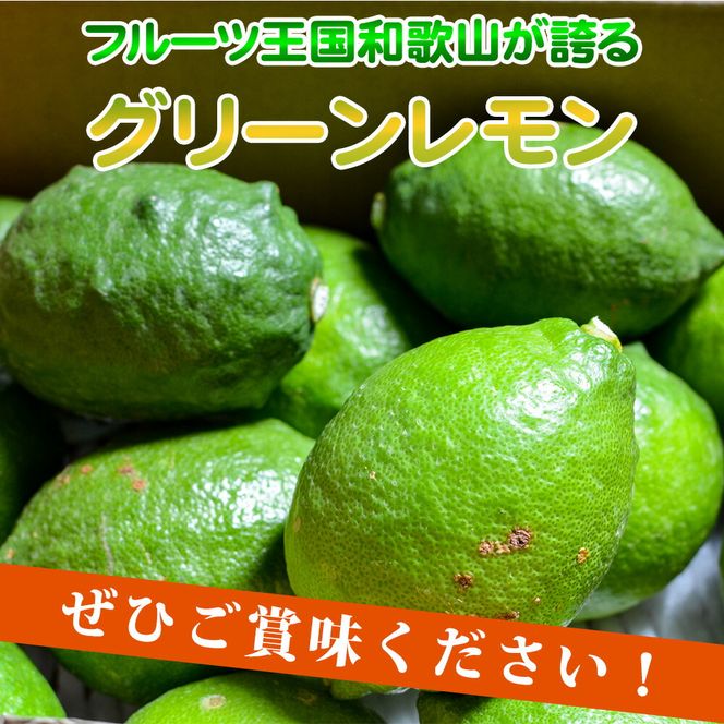 EA6042n_【2026年先行予約】綺麗な湧き水で育てた グリーンレモン 2kg (大小混合)