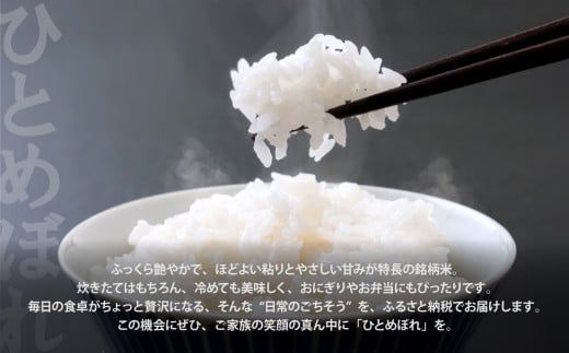  【無洗米】【10kg】 米 宮城県産 ひとめぼれ 《 令和7年産 新米 》 ブランド米 白米 精米 ご飯 ごはん コメ こめ お米 小分け 家庭用 結心ファーム [ 宮城県 加美町 ]  | yu-hb10-mu-r7