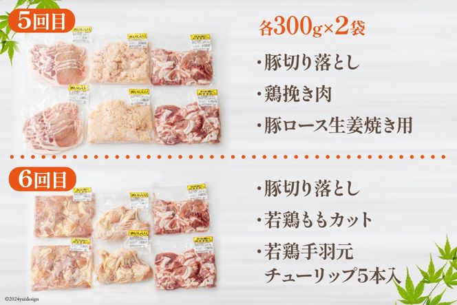 6回 定期便 豚 鶏肉 小分け お料理 セット 計10.8kg [甲斐精肉店 宮崎県 美郷町 31as0066] 肉 毎月 お届け 冷凍 宮崎県産 国産 若鶏 鳥 切落し ロース 生姜焼き とんかつ ひき肉 ミンチ もも カット バラ スライス 薄切り カレー シチュー 角切り チューリップ 手羽元 トンカツ 予約 送料無料