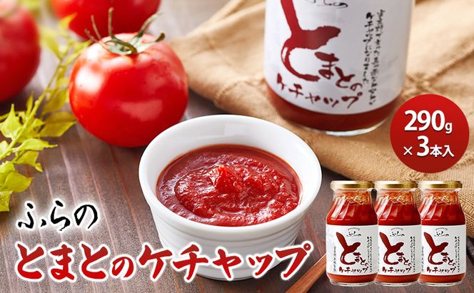 ふらの とまとのケチャップ 290g×3本入  (調味料 加工品 ケチャップ トマト ソース 北海道 送料無料 道産 富良野市 ふらの)