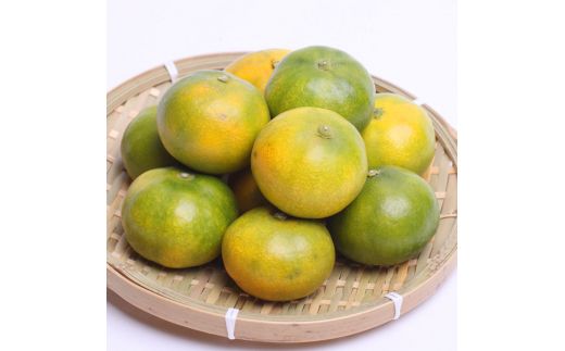 プレミアム 有田 みかん ( ゆら早生 ) 5kg+250g（傷み補償分） / 有田みかん 甘い 柑橘 フルーツ 果物 和歌山 ※2026年10月上旬〜11月中旬頃に順次発送予定 ※北海道・沖縄・離島への配送不可 【ikd003-prem-5A】 